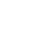 Icon Meister